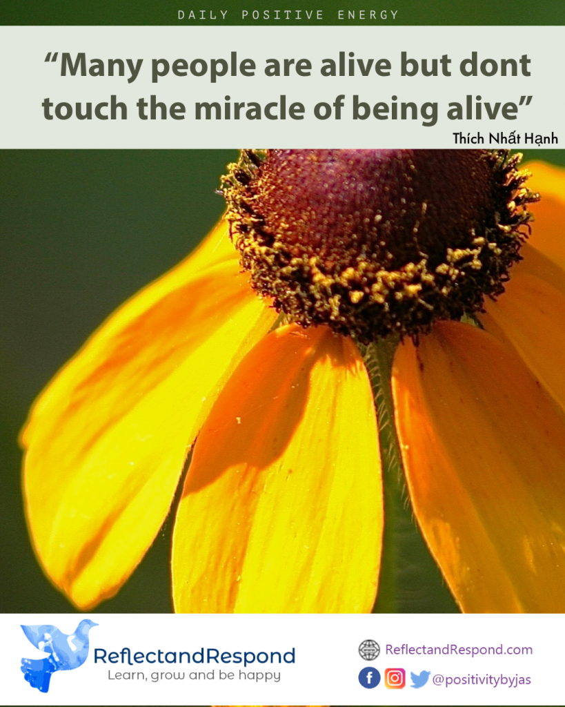 buddhist quote meditation thich