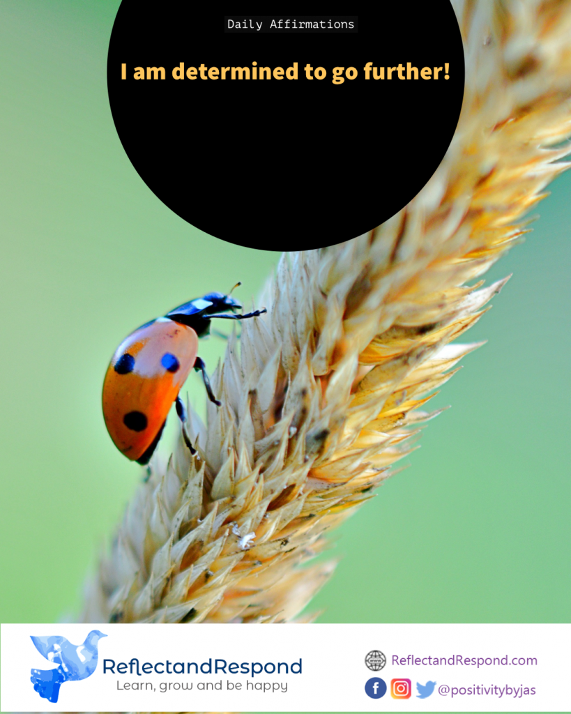 positive affirmation I am determined
