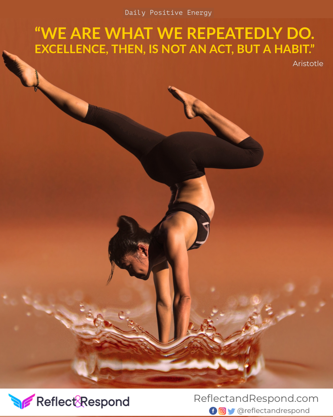 positive quotes Aristotle habit excellence