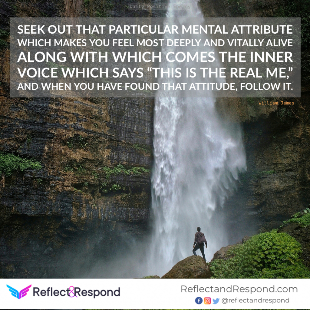 positive inspiring quotes seek out alive real me - ReflectandRespond