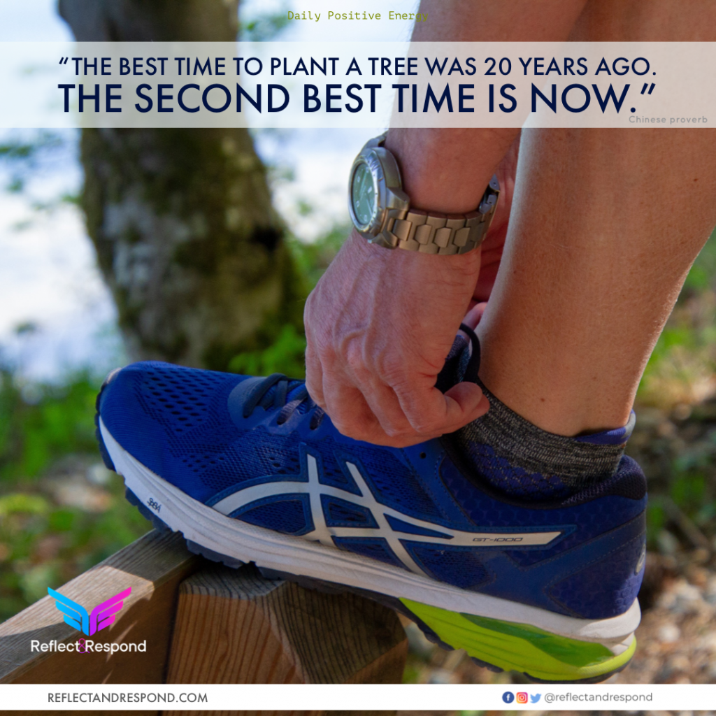 The best time to plant a tree was 20 years ago quote